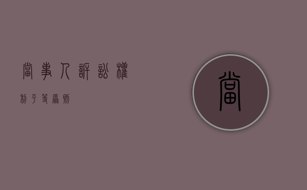 当事人诉讼权利平等原则