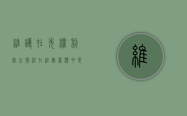 维护在先权利,制止抢注在注册商标中是如何体现的（什么叫抢注商标）