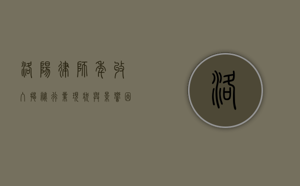 洛阳律师年收入揭秘，行业现状与影响因素分析