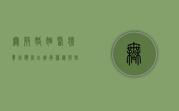 无效婚姻医疗费用应当由谁承担？（无效婚姻的几种情况）
