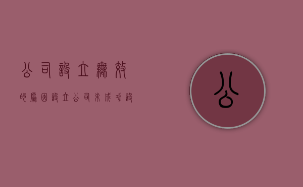 公司设立无效的原因？（设立公司未成功,设立过程中的债务谁负责?）