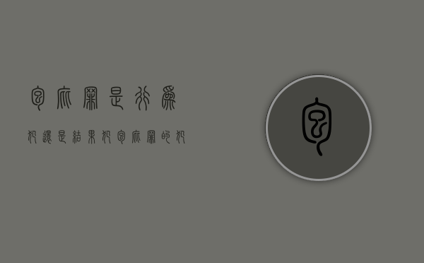 包庇罪是行为犯还是结果犯（包庇罪的犯罪构成是什么）