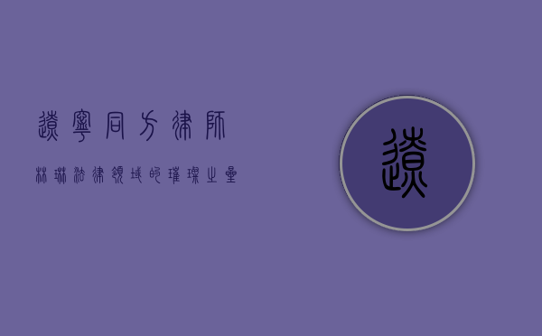 辽宁同方律师林琳，法律领域的璀璨之星