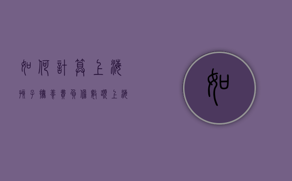 如何计算上海孩子抚养费负担数额（上海子女抚养费2024标准是多少钱）