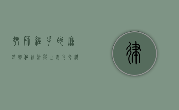 律师经手的廉政案件，法律与正义的交织