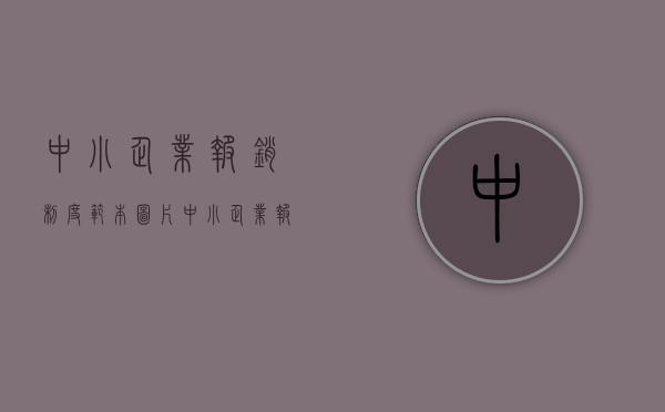 中小企业报销制度范本图片（中小企业报销制度范本最新）