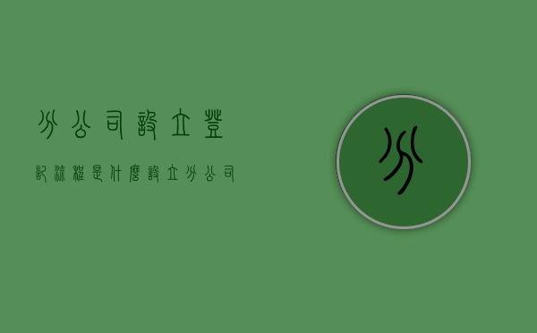 分公司设立登记流程是什么（设立分公司时,如何申请设立登记?）