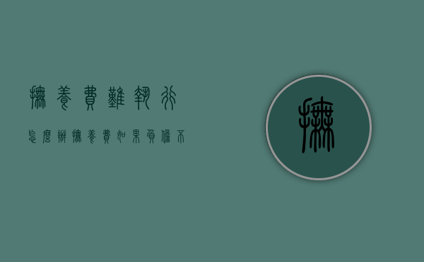 抚养费难执行怎么办（抚养费如果负担不起该怎么办?）