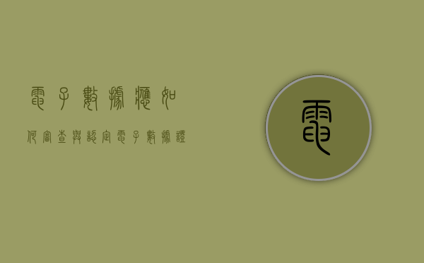 电子数据应如何审查与认定（电子数据证据的审查运用包括）