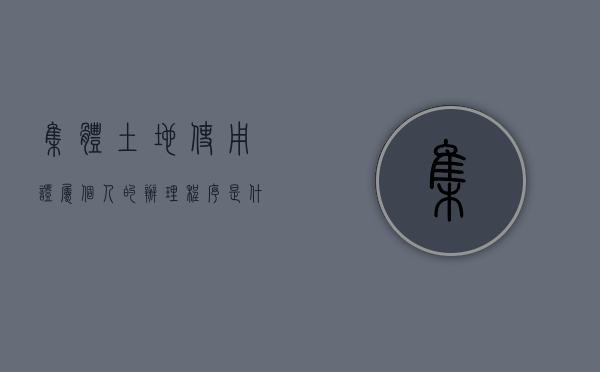 集体土地使用证属个人的办理程序是什么（集体土地使用证规定最新）