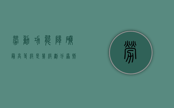 劳动功能障碍最高等级是几级,划分原则是怎样的（劳动功能障碍分成多少级）