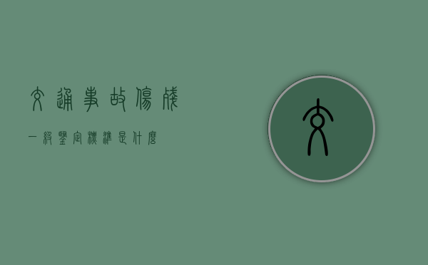 交通事故伤残一级鉴定标准是什么？