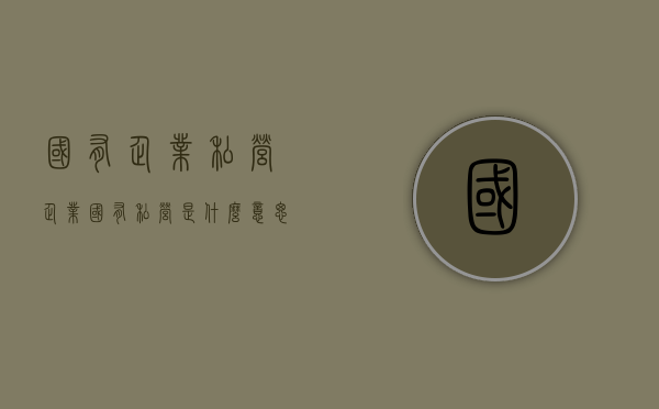 国有企业 私营企业（国有私营是什么意思）