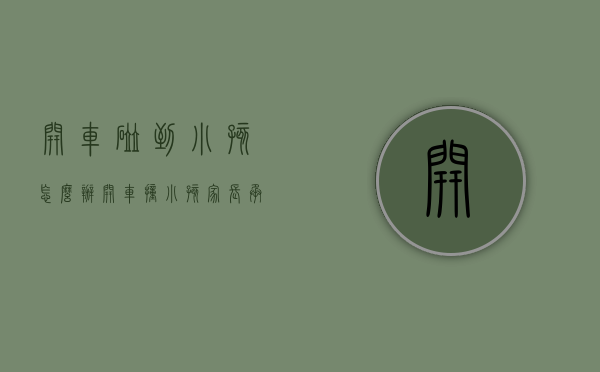 开车碰到小孩怎么办（开车撞小孩 家长承担责任吗）