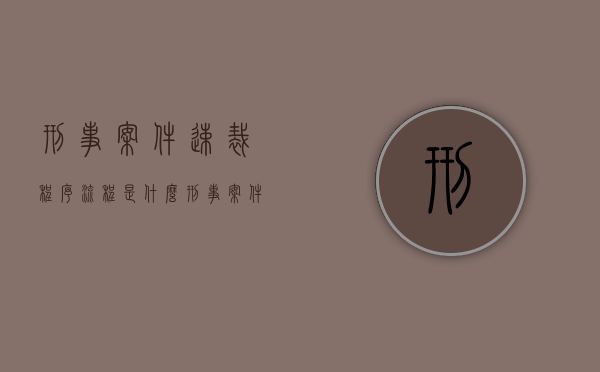 刑事案件速裁程序流程是什么？（刑事案件速裁程序好不好）