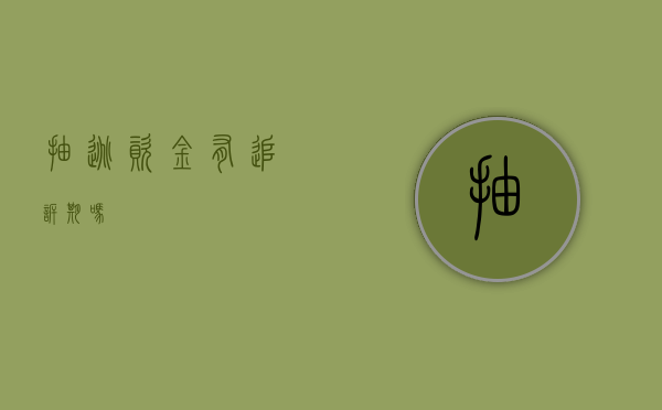 抽逃资金有追诉期吗