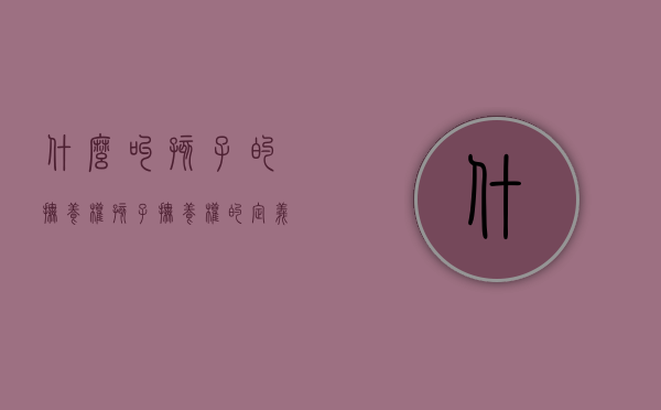 什么叫孩子的抚养权（孩子抚养权的定义）