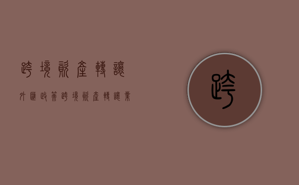 跨境资产转让外汇政策（跨境资产转让业务品种）