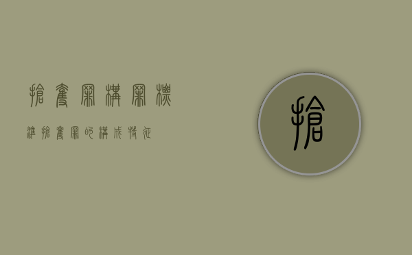 抢夺罪构罪标准（抢夺罪的构成特征）