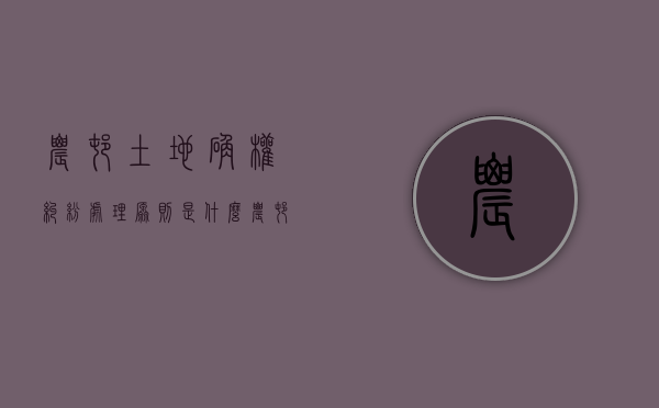 农村土地确权纠纷处理原则是什么（农村土地确权纠纷处理）
