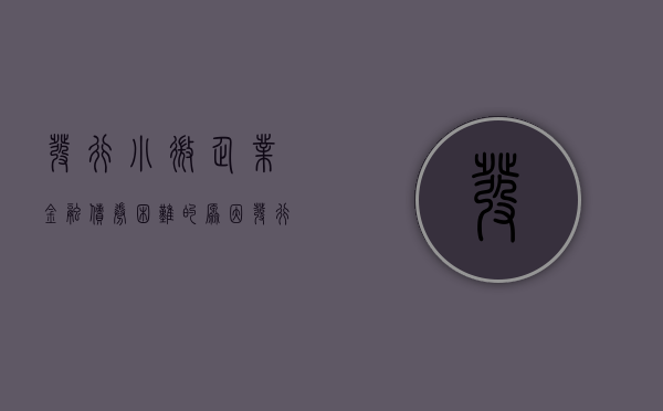 发行小微企业金融债券困难的原因（发行小微企业金融债券困难问题研究）