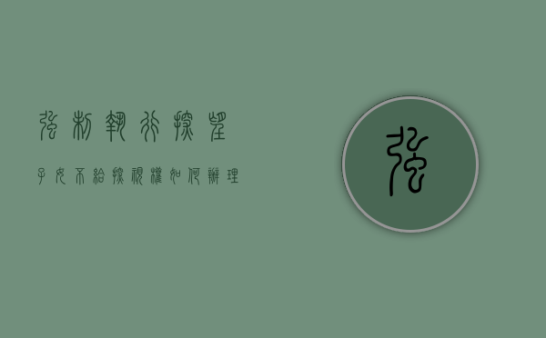 强制执行探望子女不给探视权如何办理手续（强制执行探望子女不给探视权如何办理离婚）