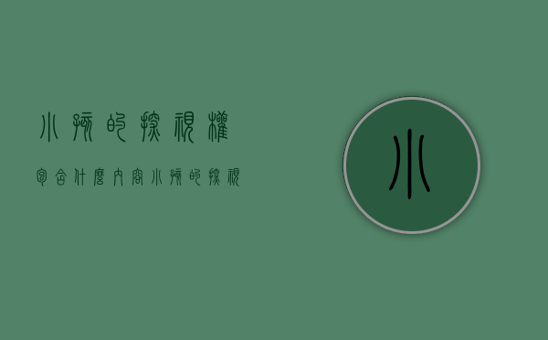 小孩的探视权包含什么内容（小孩的探视权包含什么东西）