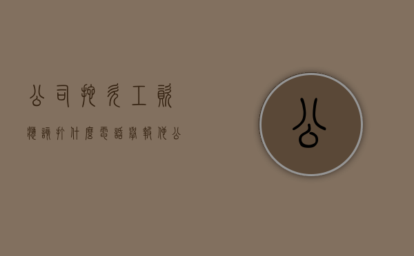 公司拖欠工资应该打什么电话举报他（公司拖欠工资应该打什么电话举报最有效）