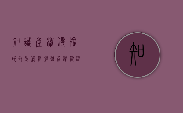 知识产权侵权的诉讼管辖（知识产权侵权案由）