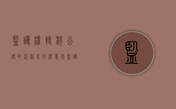 监护权转移公证的流程是什么意思（监护权转移公证的流程是什么呢）