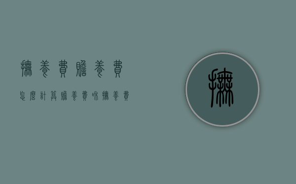 抚养费赡养费怎么计算（赡养费和抚养费标准是多少钱一个月呢）