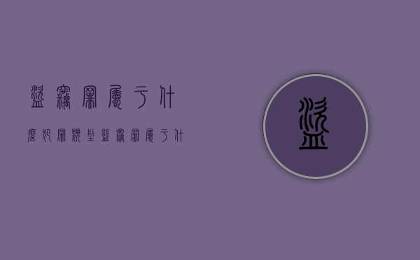 盗窃罪属于什么犯罪类型（盗窃罪属于什么案件类别）