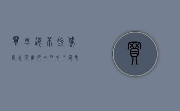买车还不起贷款怎么办把车开走了还要打官司吗（按揭车没钱还什么罪）