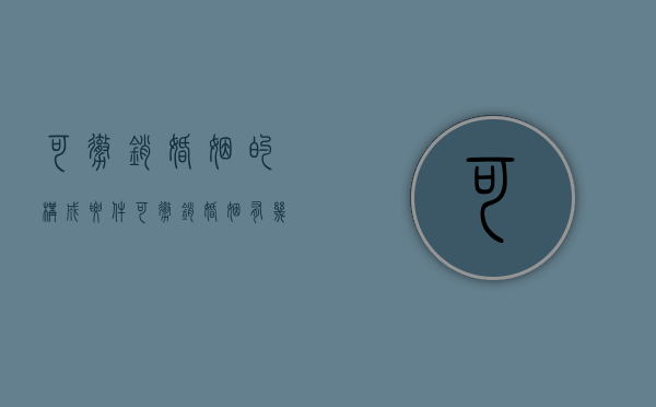 可撤销婚姻的构成要件（可撤销婚姻的两种情形）