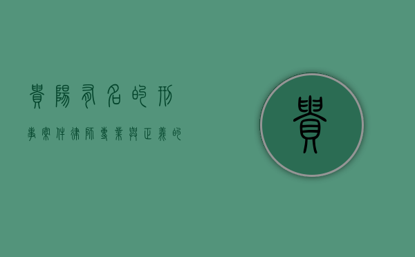 贵阳有名的刑事案件律师，专业与正义的守护者