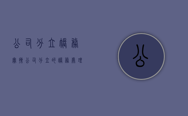 公司分立账务实操（公司分立的账务处理）