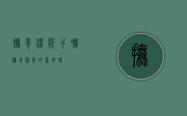 抚养权能干嘛（抚养权真的重要吗）