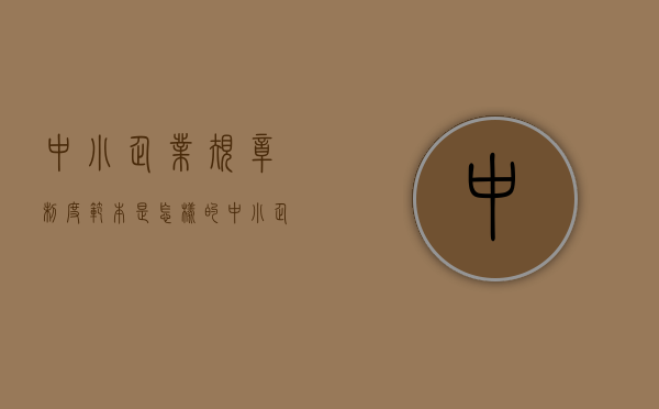 中小企业规章制度范本是怎样的（中小企业是怎样设定）