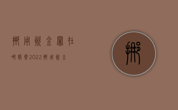 挪用资金罪在哪报案2022（挪用资金罪归谁管）