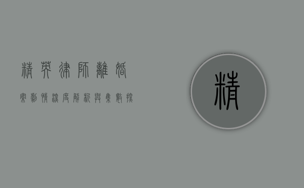 精英律师离婚案，剧情深度解析与集数探讨